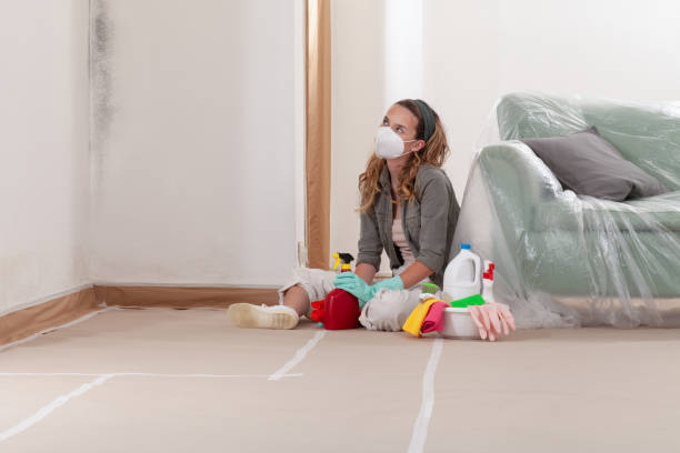 Trusted Mold Inspection service in Great Neck, NY - WQB Mold Removal